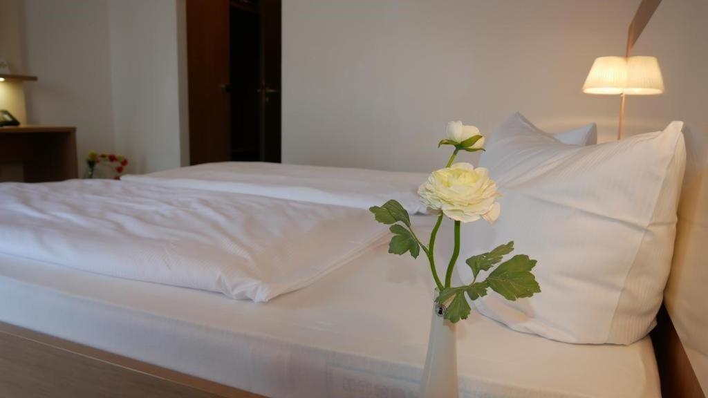Hotel Garni Alte Post Schallbach Экстерьер фото